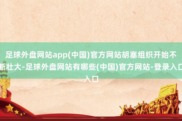 足球外盘网站app(中国)官方网站胡塞组织开始不断壮大-足球外盘网站有哪些(中国)官方网站-登录入口