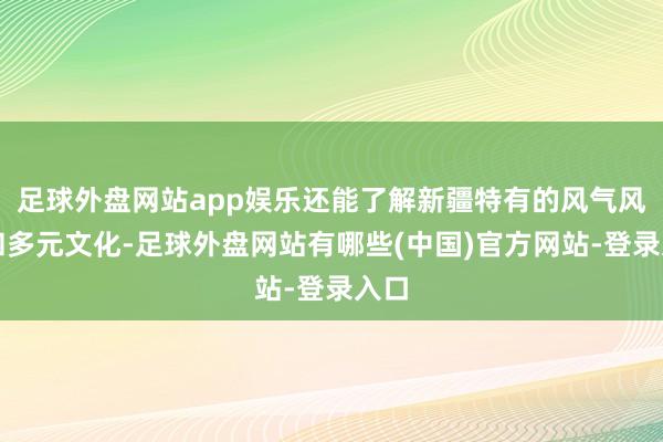 足球外盘网站app娱乐还能了解新疆特有的风气风情和多元文化-足球外盘网站有哪些(中国)官方网站-登录入口