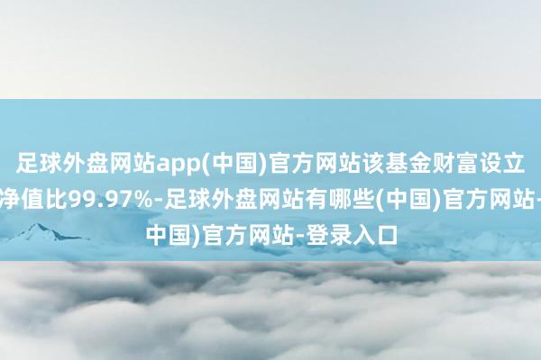 足球外盘网站app(中国)官方网站该基金财富设立：股票占净值比99.97%-足球外盘网站有哪些(中国)官方网站-登录入口