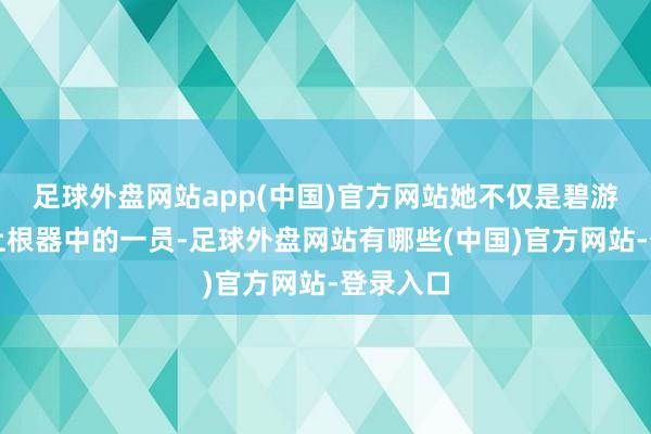 足球外盘网站app(中国)官方网站她不仅是碧游村十二上根器中的一员-足球外盘网站有哪些(中国)官方网站-登录入口