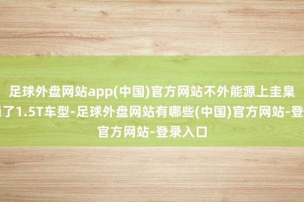 足球外盘网站app(中国)官方网站不外能源上圭臬版取消了1.5T车型-足球外盘网站有哪些(中国)官方网站-登录入口