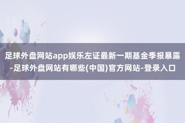 足球外盘网站app娱乐左证最新一期基金季报暴露-足球外盘网站有哪些(中国)官方网站-登录入口