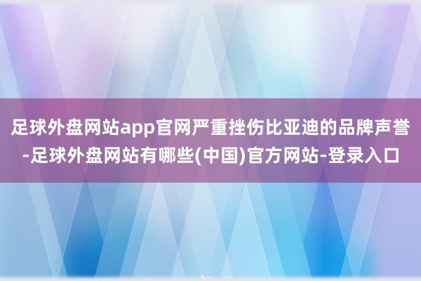 足球外盘网站app官网严重挫伤比亚迪的品牌声誉-足球外盘网站有哪些(中国)官方网站-登录入口