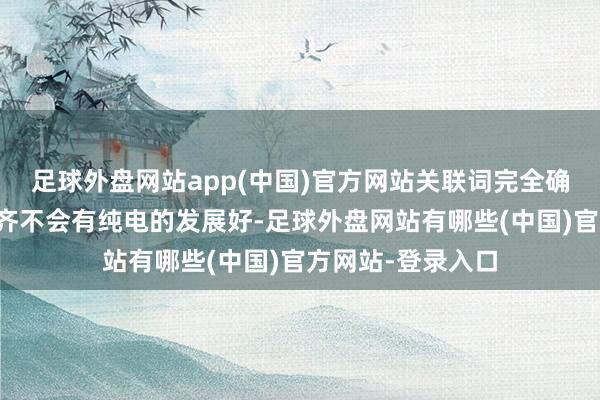 足球外盘网站app(中国)官方网站关联词完全确信油车致使混动齐不会有纯电的发展好-足球外盘网站有哪些(中国)官方网站-登录入口